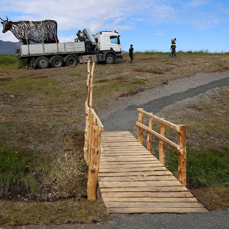 Kýrin Edda sett á stall sinn norðan við Sólgarð  – © Skapti Hallgrímsson