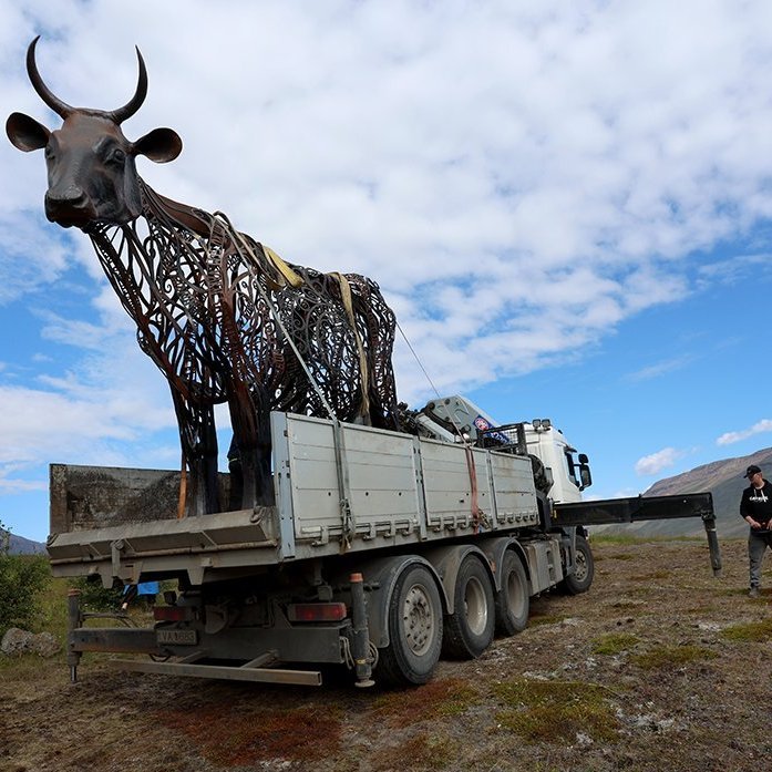 Kýrin Edda sett á stall sinn norðan við Sólgarð  – © Skapti Hallgrímsson
