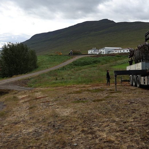 Kýrin Edda sett á stall sinn norðan við Sólgarð  – © Skapti Hallgrímsson