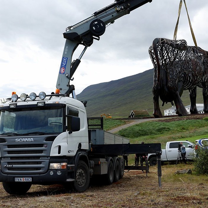 Kýrin Edda sett á stall sinn norðan við Sólgarð  – © Skapti Hallgrímsson