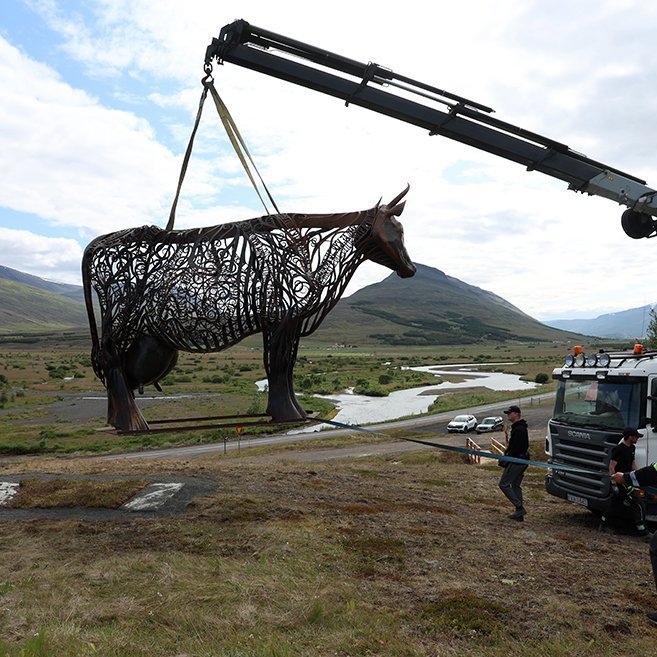 Kýrin Edda sett á stall sinn norðan við Sólgarð  – © Skapti Hallgrímsson