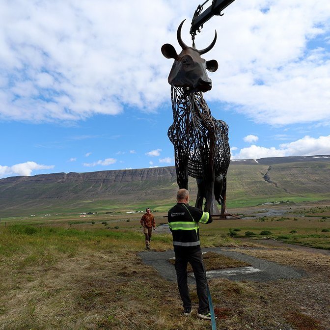 Kýrin Edda sett á stall sinn norðan við Sólgarð  – © Skapti Hallgrímsson