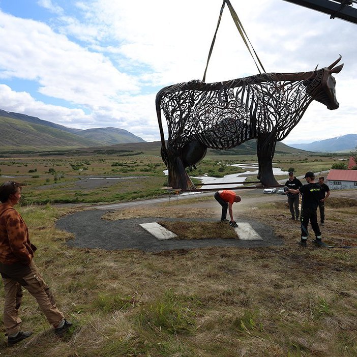 Kýrin Edda sett á stall sinn norðan við Sólgarð  – © Skapti Hallgrímsson