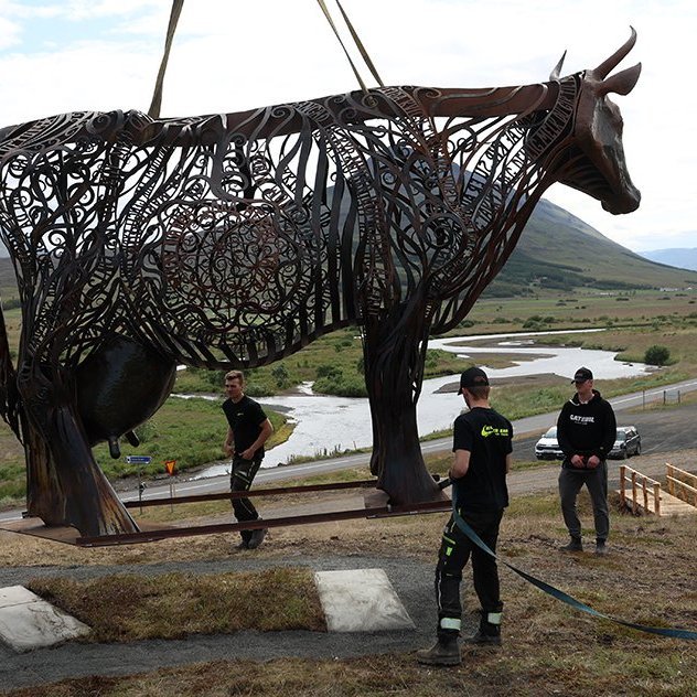 Kýrin Edda sett á stall sinn norðan við Sólgarð  – © Skapti Hallgrímsson