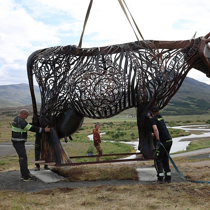 Kýrin Edda sett á stall sinn norðan við Sólgarð  – © Skapti Hallgrímsson