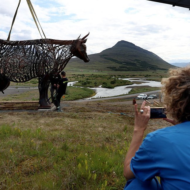 Kýrin Edda sett á stall sinn norðan við Sólgarð  – © Skapti Hallgrímsson
