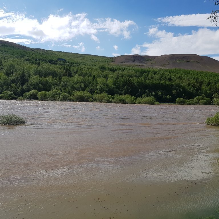 Fnjóská var í miklum ham í gær.  Mynd úr Vaglaskógi. Ljósmynd: Pétur Guðjónsson.