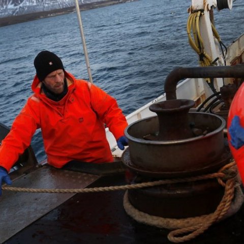 Sigurður dregur færið, sem liggur í belg og bauju, áður en hafist er handa við að draga trossuna.