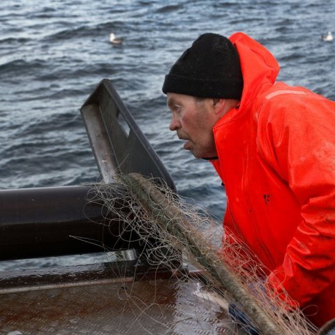 Skipstjórinn fylgist vel með netinu, innan og utan borðs.