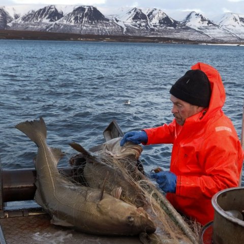 Hokinn af reynslu; Gunnar hefur verið til sjós í 58 ár.