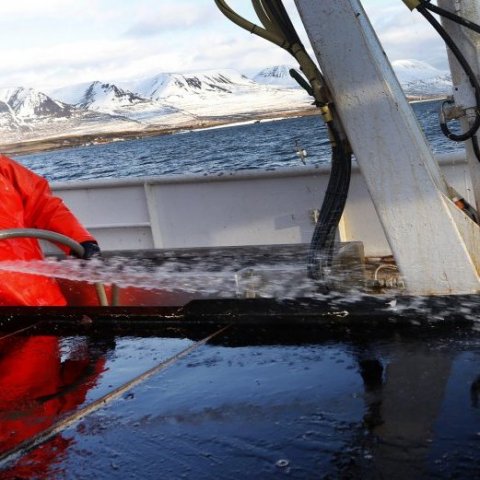 Hannes Arnar spúlar áður en næsta trossa er dregin um borð.