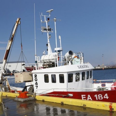 Löndun hafin við Vesturbakkann í Fiskihöfninni.