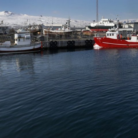 ... fáeina tugi metra að næstu bryggju, þaðan sem farið var í rauðabítið í morgun.