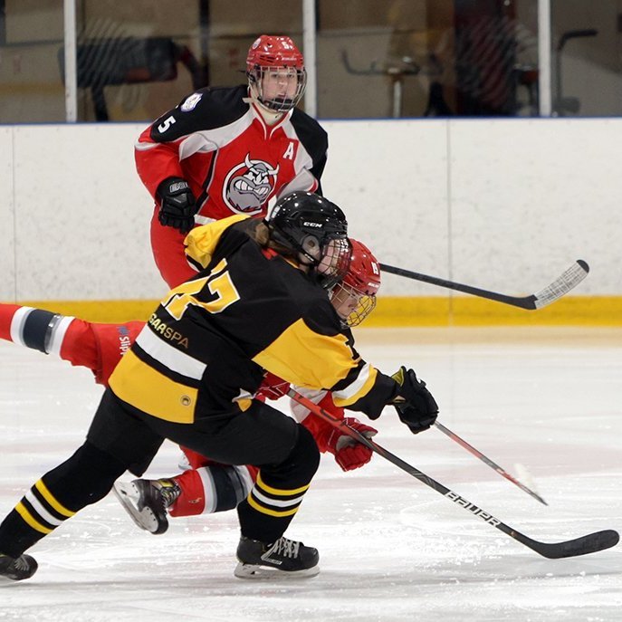 SA Íslandsmeistari í íshokkí 2023