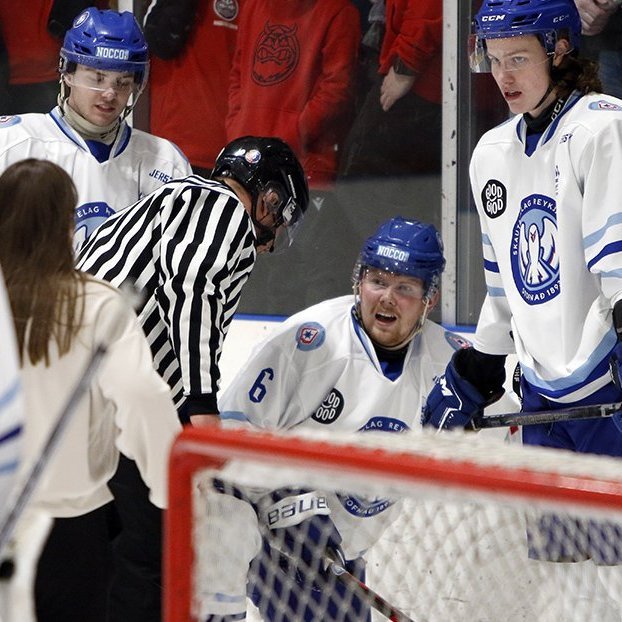 SA Víkingar Íslandsmeistarar í íshokkí 2025. Þetta er 24. Íslandsmeistaratitill Skautafélags Akureyrar í karlaflokki. Mynd: Rakel Hinriksdóttir