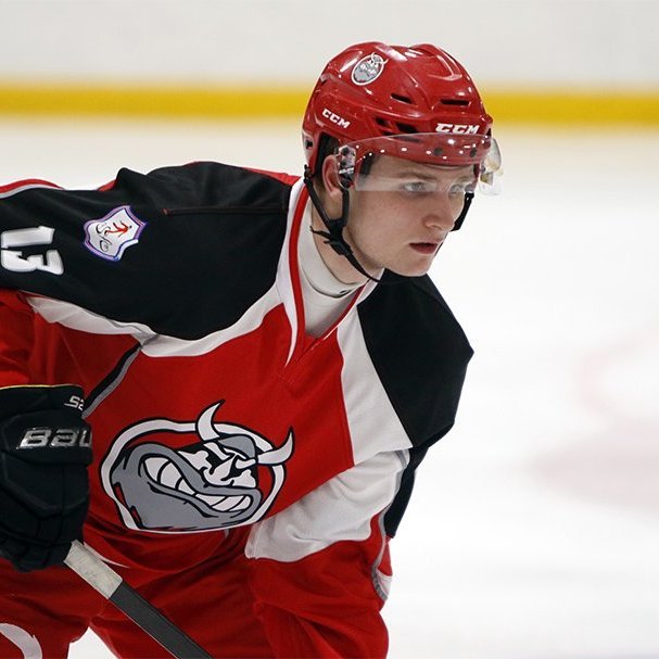 SA Víkingar Íslandsmeistarar í íshokkí 2025. Þetta er 24. Íslandsmeistaratitill Skautafélags Akureyrar í karlaflokki. Mynd: Rakel Hinriksdóttir