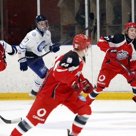 SA Víkingar Íslandsmeistarar í íshokkí 2025. Þetta er 24. Íslandsmeistaratitill Skautafélags Akureyrar í karlaflokki. Mynd: Rakel Hinriksdóttir