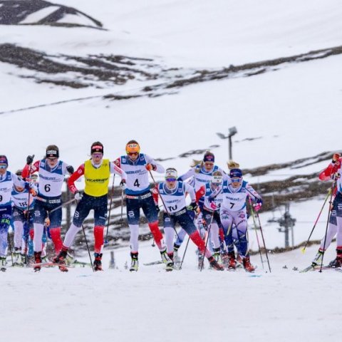 Scandinavian Cup – Ljósmynd: Ármann Hinrik ©