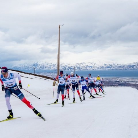 Scandinavian Cup – Ljósmynd: Ármann Hinrik ©