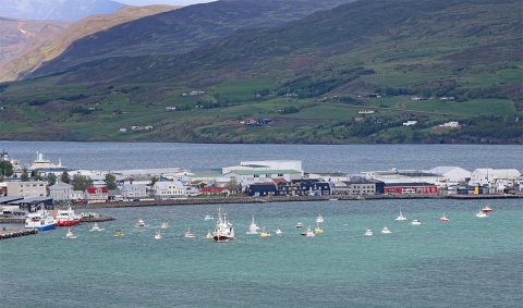 Hópsigling á sjómannadaginn 2025. Húni II og hátt í 30 smábátar sigldu úr Sandgerðisbót og inn á Poll. Mynd: Þorgeir Baldursson