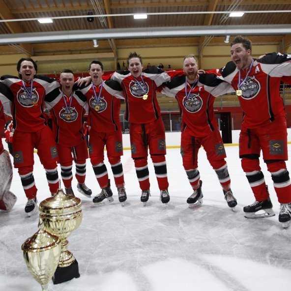 katt-i-hollinni_3441