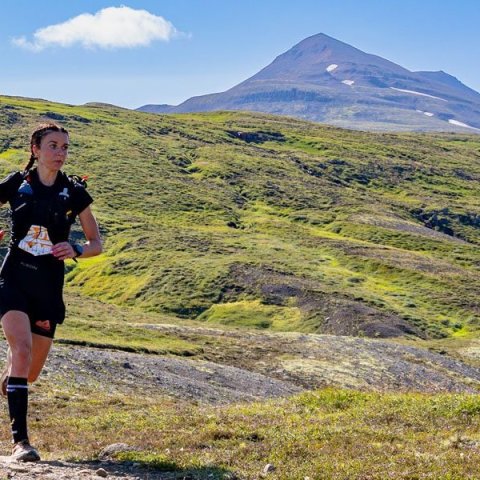 Súlur vertical fjallahlaupið, laugardaginn 2. ágúst 2025. Mynd: Ármann Hinrik