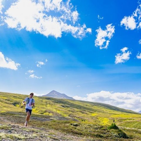 Súlur vertical fjallahlaupið, laugardaginn 2. ágúst 2025. Mynd: Ármann Hinrik