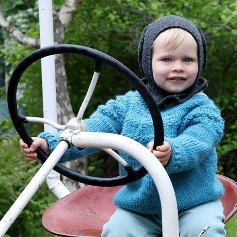 Þjóðhátíðardagurinn 2026 - Mynd: Þorgeir Baldursson
