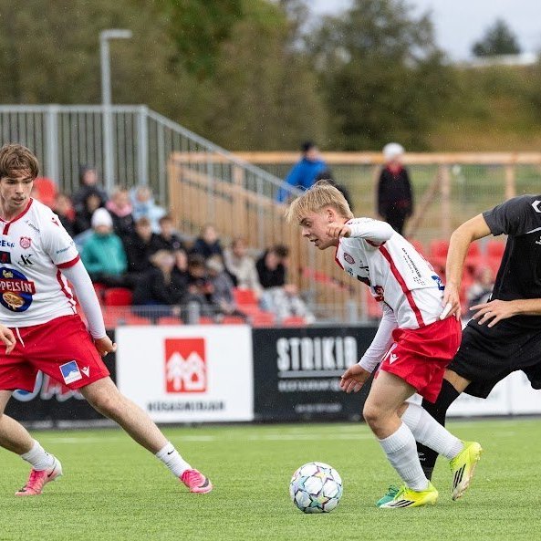 arm_8993