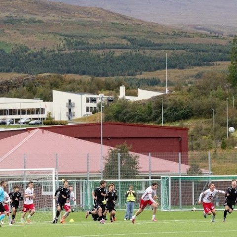 arm_0077.jpg