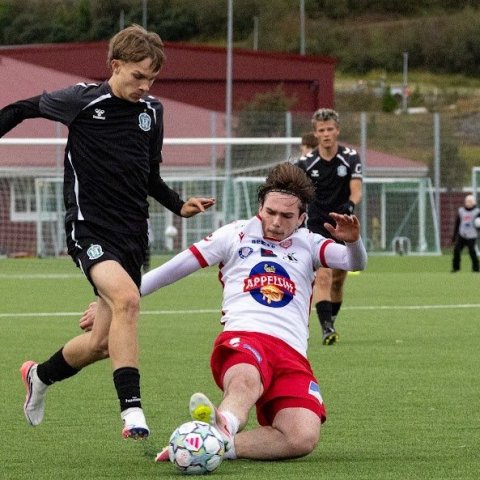 arm_1874.jpg