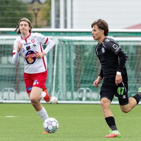 arm_9628.jpg