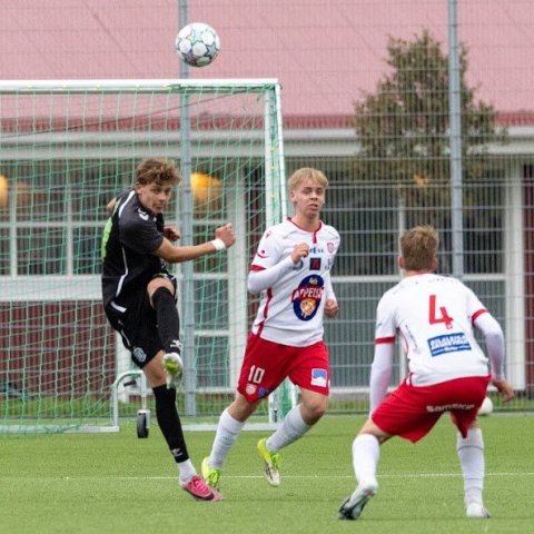 arm_9718.jpg