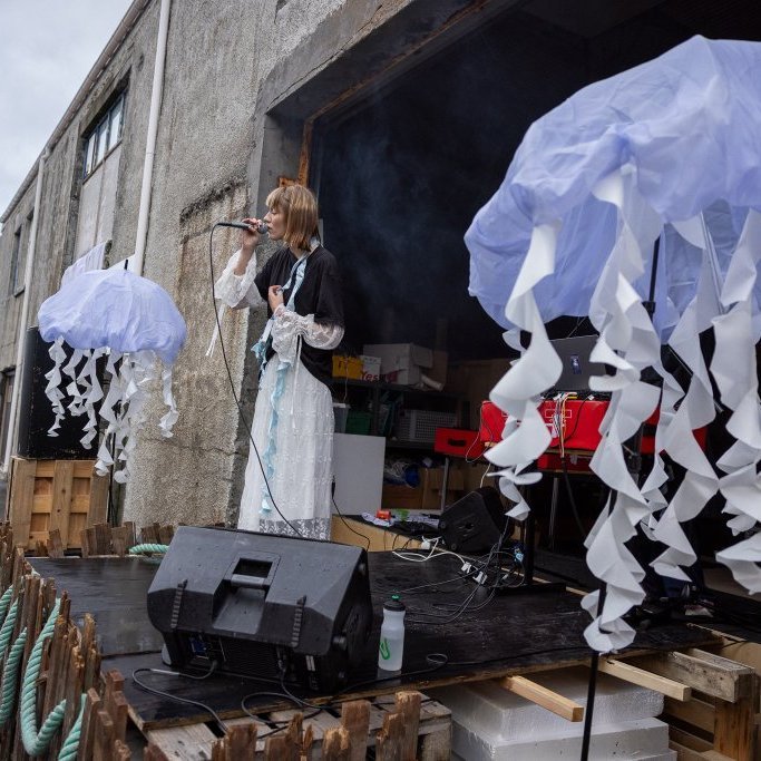 Lúpína á Kveldúlfi 2025. Mynd: Daníel Starrason.