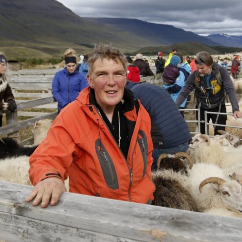 Rósa Hreinsdóttir bóndi á Halldórsstöðum og gangnastjóri í austanverðum Eyjafjarðardal.