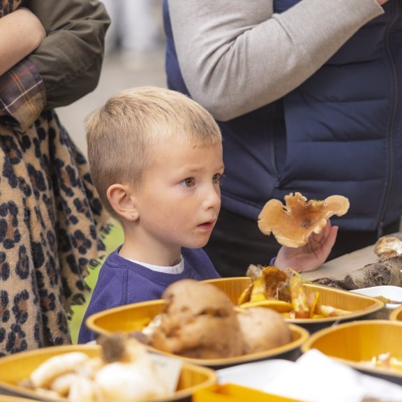 Skógardagur Skógræktarfélags Eyfirðinga í Kjarnaskógi, sunnudagur 3. ágúst 2025. Mynd: Hilmar Friðjónsson