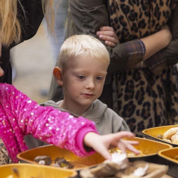 Skógardagur Skógræktarfélags Eyfirðinga í Kjarnaskógi, sunnudagur 3. ágúst 2025. Mynd: Hilmar Friðjónsson