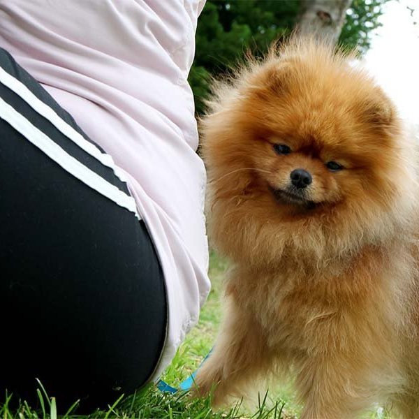 Skógardagur Skógræktarfélags Eyfirðinga í Kjarnaskógi, sunnudagur 3. ágúst 2025. Mynd: Skapti Hallgrímsson