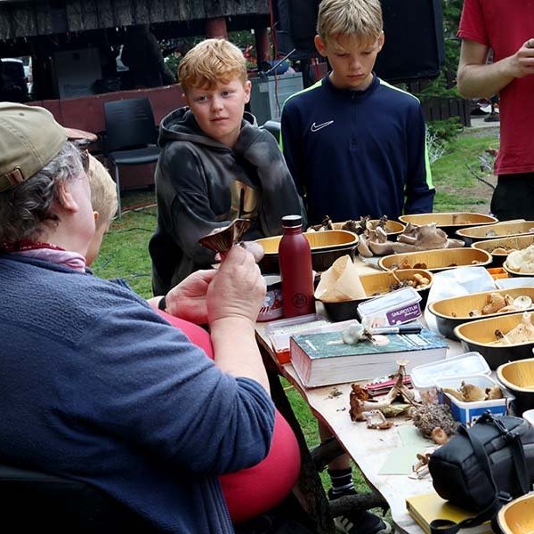 Skógardagur Skógræktarfélags Eyfirðinga í Kjarnaskógi, sunnudagur 3. ágúst 2025. Mynd: Skapti Hallgrímsson