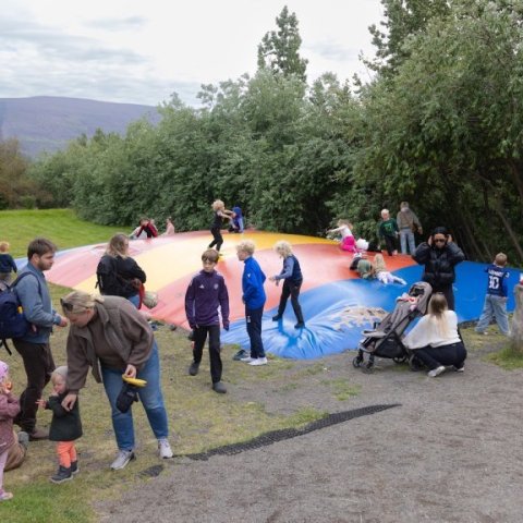 02.08.2026-ein-med-ollu-skogardagurinn-7931.jpg