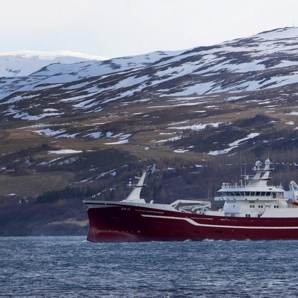 vilhelm-thorsteinsson-ea_1682