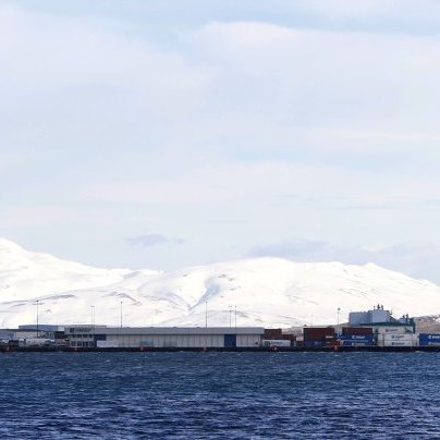 vilhelm-thorsteinsson-ea_1699