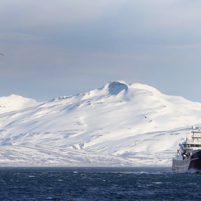 vilhelm-thorsteinsson-ea_1780