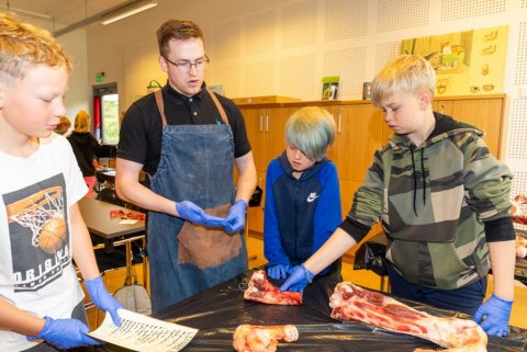 Vísindaskóli unga fólksins í HA 2022