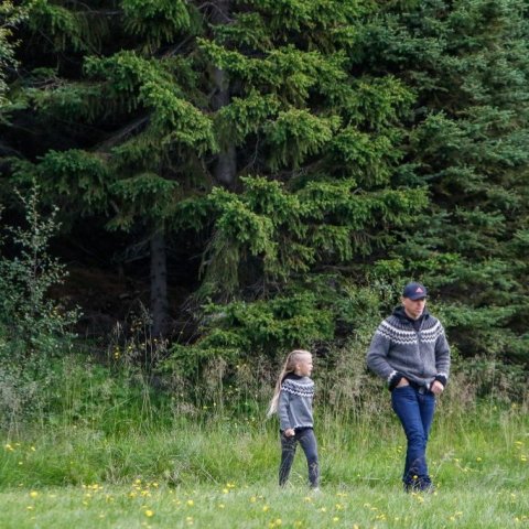 Tónleikarnir Vor í Vaglaskógi 26.07.25. Ljósmyndari: Rakel Hinriksdóttir