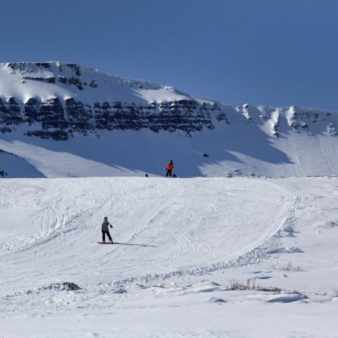 Á fleygiferð niður Heimþrána.