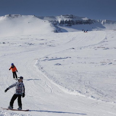 Á fleygiferð niður Heimþrána.