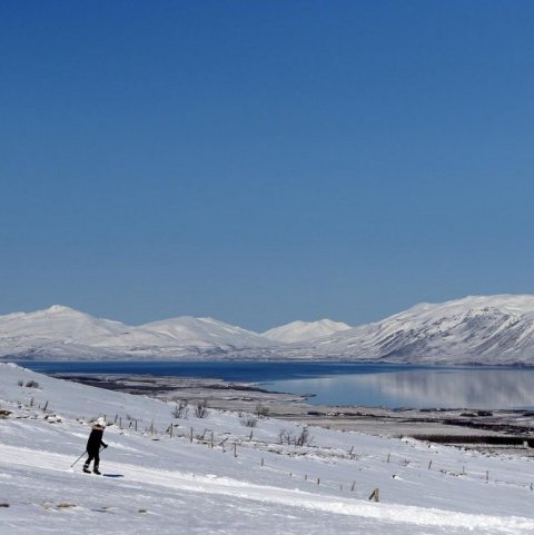 Útsýnið út fjörðinni er ekkert slor úr Heimþránni í veðri eins og almættið bauð upp á í dag.