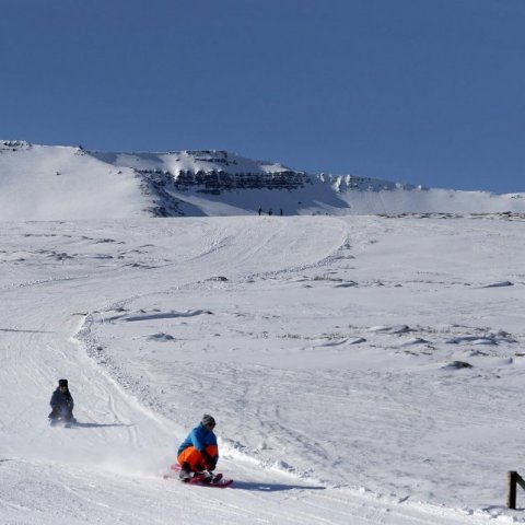 Á leið niður Heimþrána, tveir á sleða og einn á hjóli!