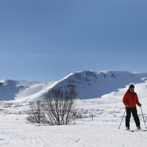 Á leið niður Heimþrána.